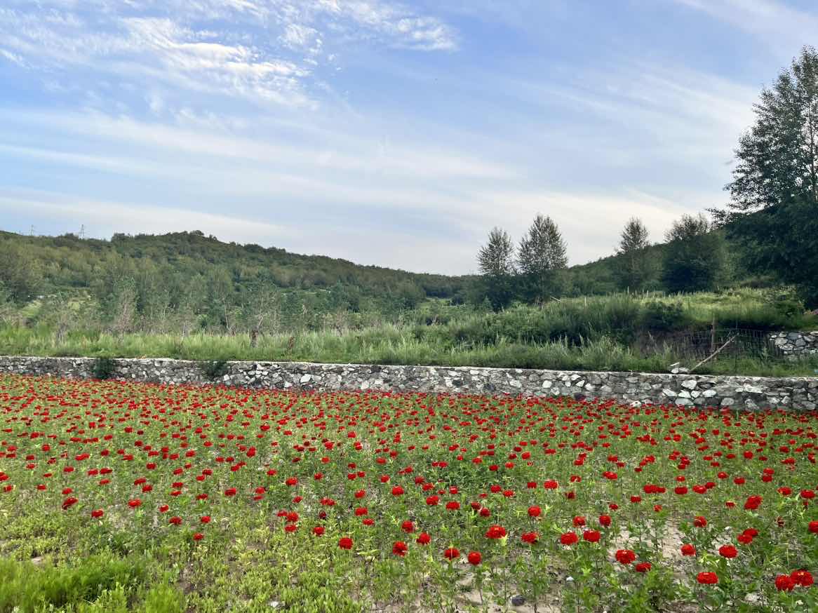 中国·太阳成集团tyc9728(股份)有限公司-官方网站