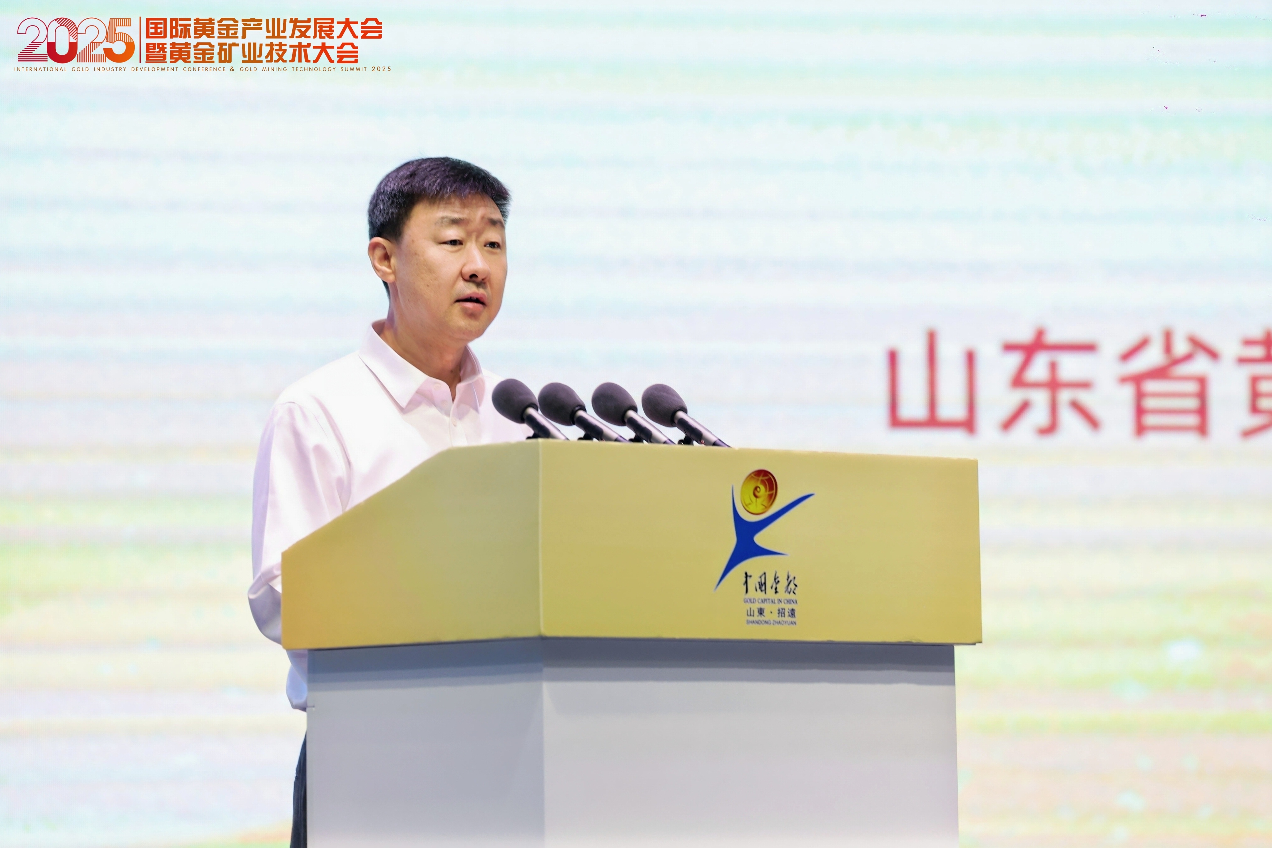 张晓海应邀加入2025国际太阳成集团tyc9728工业生长大会并致辞